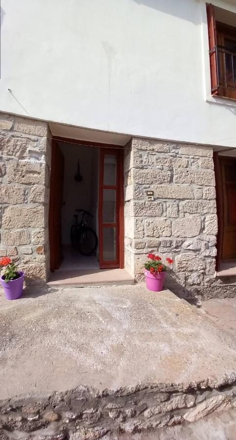 פטרה Agapis Apartments מראה חיצוני תמונה